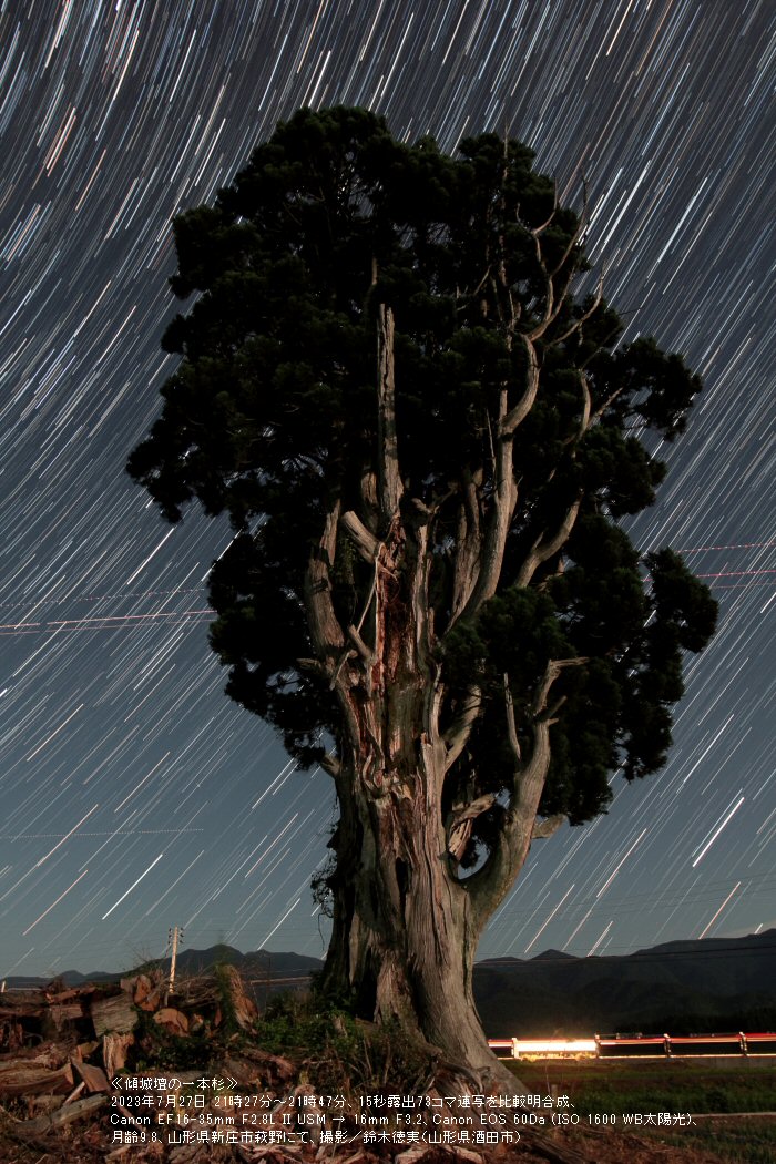 �ᐯ�i�ʐ^��X��d�̈�{�� (�R�`���V���s)