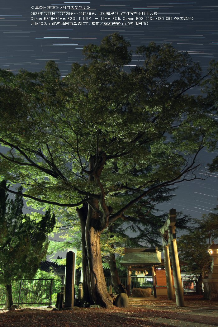 �ᐯ�i�ʐ^�⍕�X���}�_�Г�����̃P���L (�R�`����c�s)