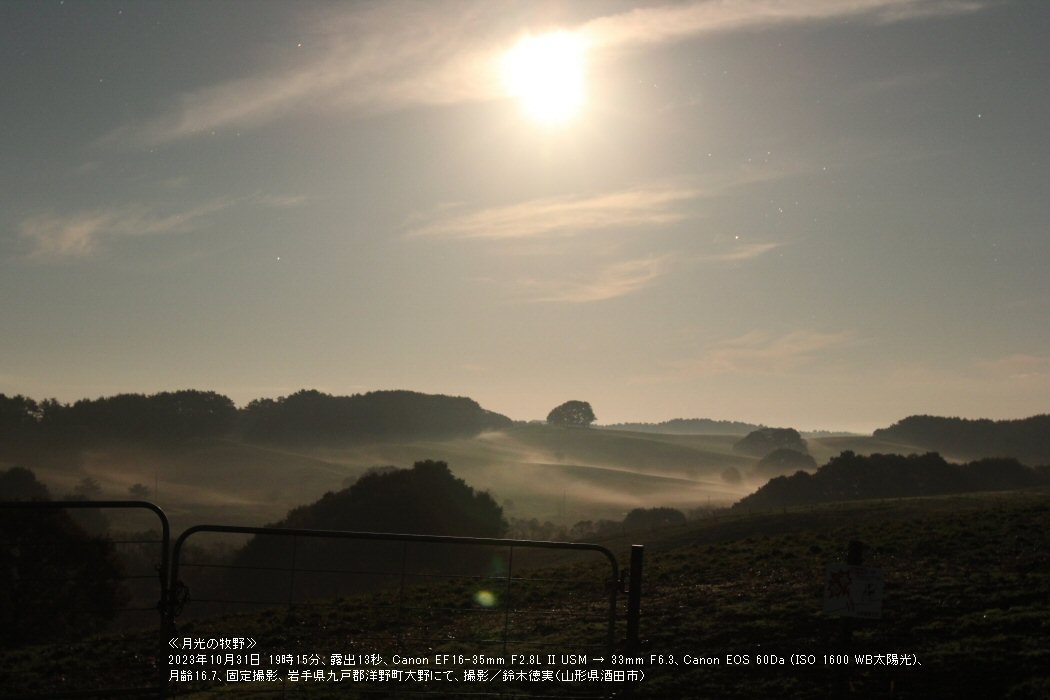 �ᐯ�i�ʐ^�⌎���̖q�� (��茧�m�쒬)