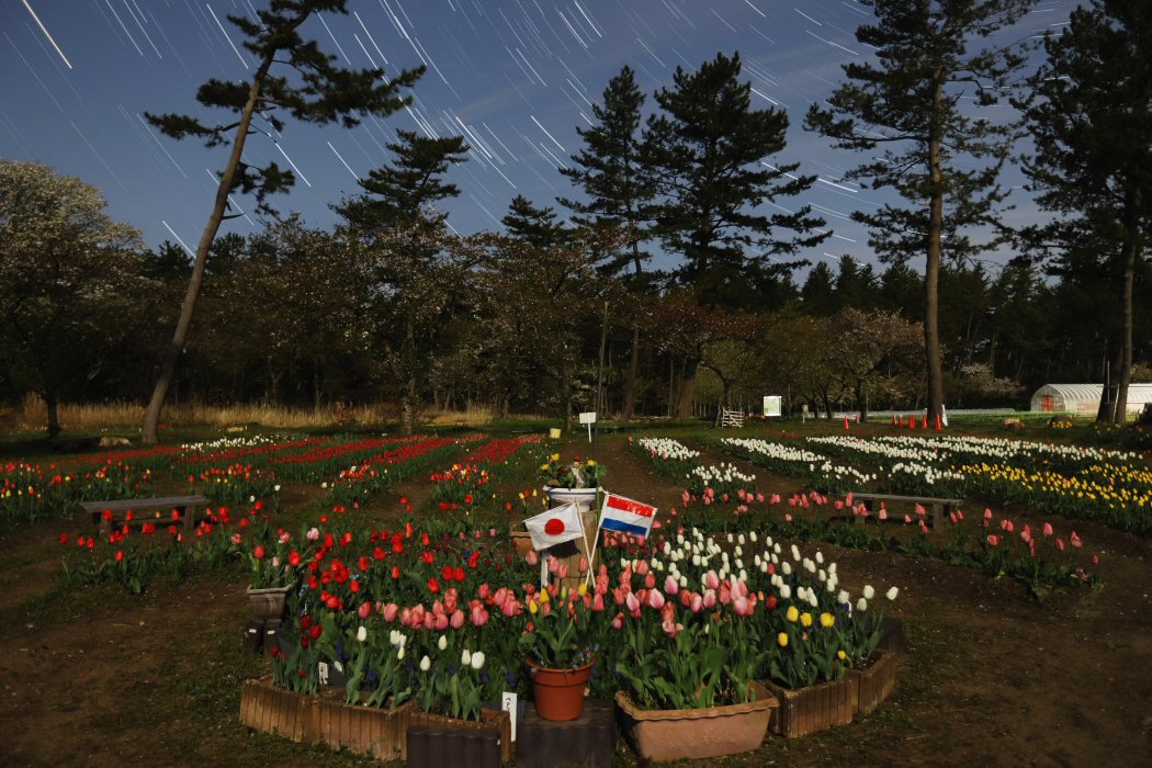 �ᐯ�i�ʐ^��ࣖ� =2= �������̑�����(�R�`���߉��s)