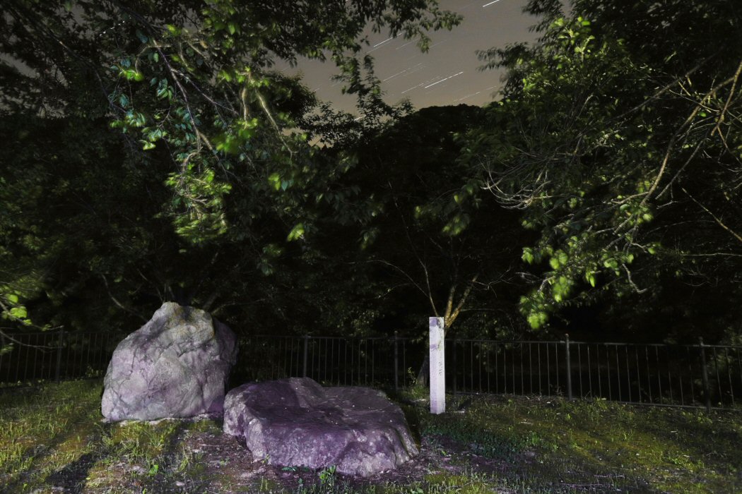 �ᐯ�i�ʐ^��ٌc�̌��� (�R�`���ŏ㒬)