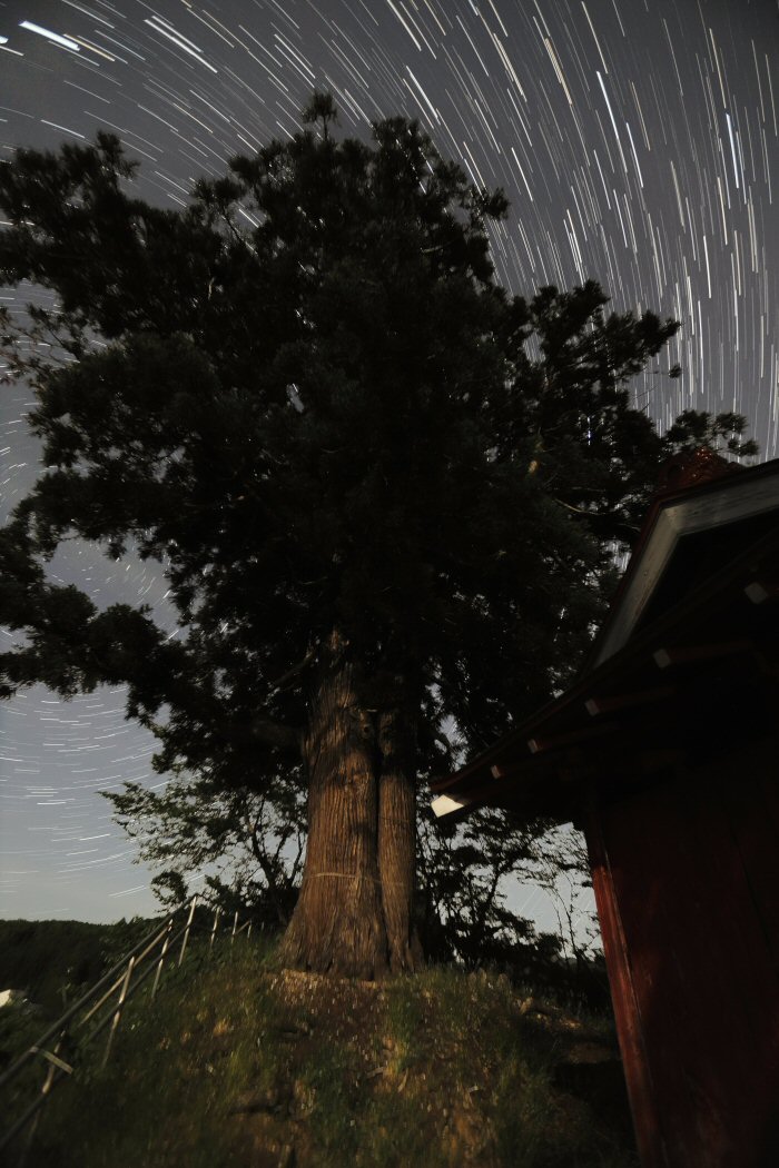 �ᐯ�i�ʐ^���א_�Ђ̗��_�吙2/2 (�R�`���ŏ㒬)