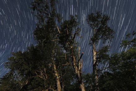 �N���b�N�ő傫�ȉ摜��