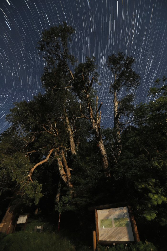 �ᐯ�i�ʐ^���_�����̃N���x (�R�`���呠��)