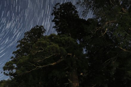 �N���b�N�ő傫�ȉ摜��