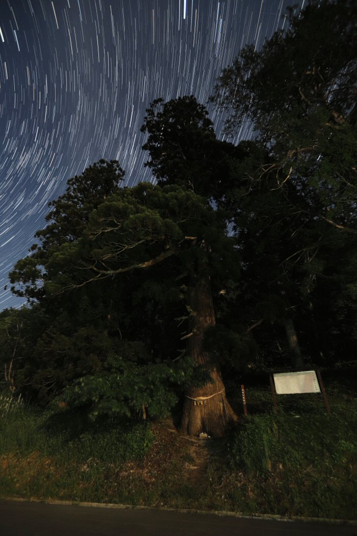 �ᐯ�i�ʐ^���_������ (�R�`���呠��)