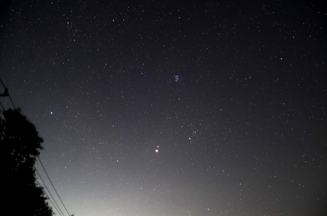 �ᐯ�i�ʐ^�⏸��ΐ��E�ؐ��ƃq�A�f�X�E�v���A�f�X (�_�ސ쌧������)