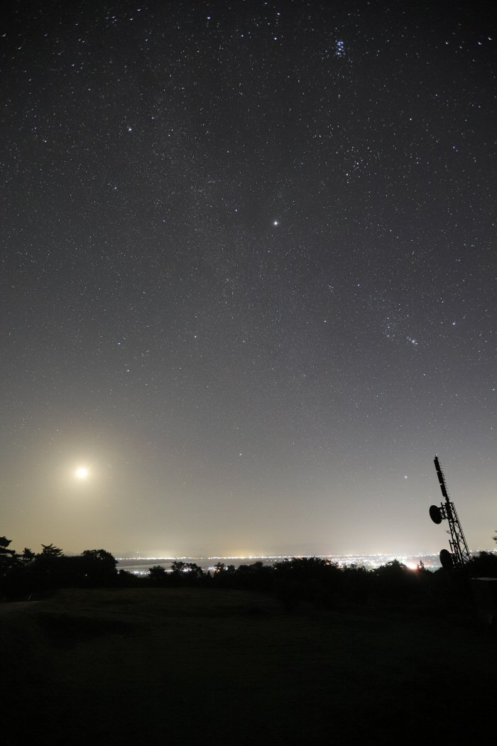 �ᐯ�i�ʐ^�␯���X