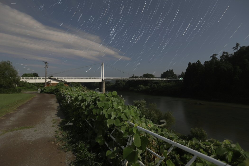 �ᐯ�i�ʐ^��ŏ��E���_�݂̒苴(�R�`�����R�s)