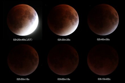 �N���b�N�ő傫�ȉ摜��