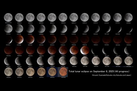 �N���b�N�ő傫�ȉ摜��