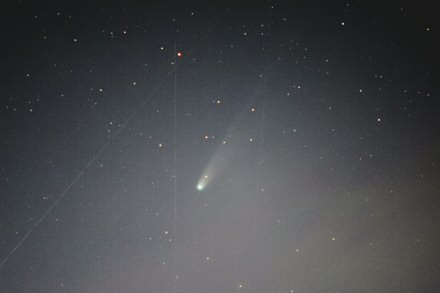 クリックで大きな画像へ