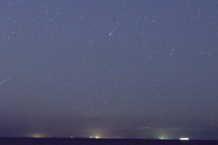 クリックで大きな画像へ