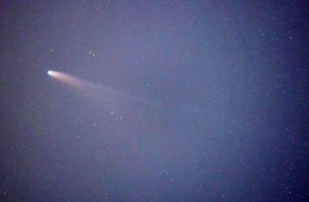 クリックで大きな画像へ