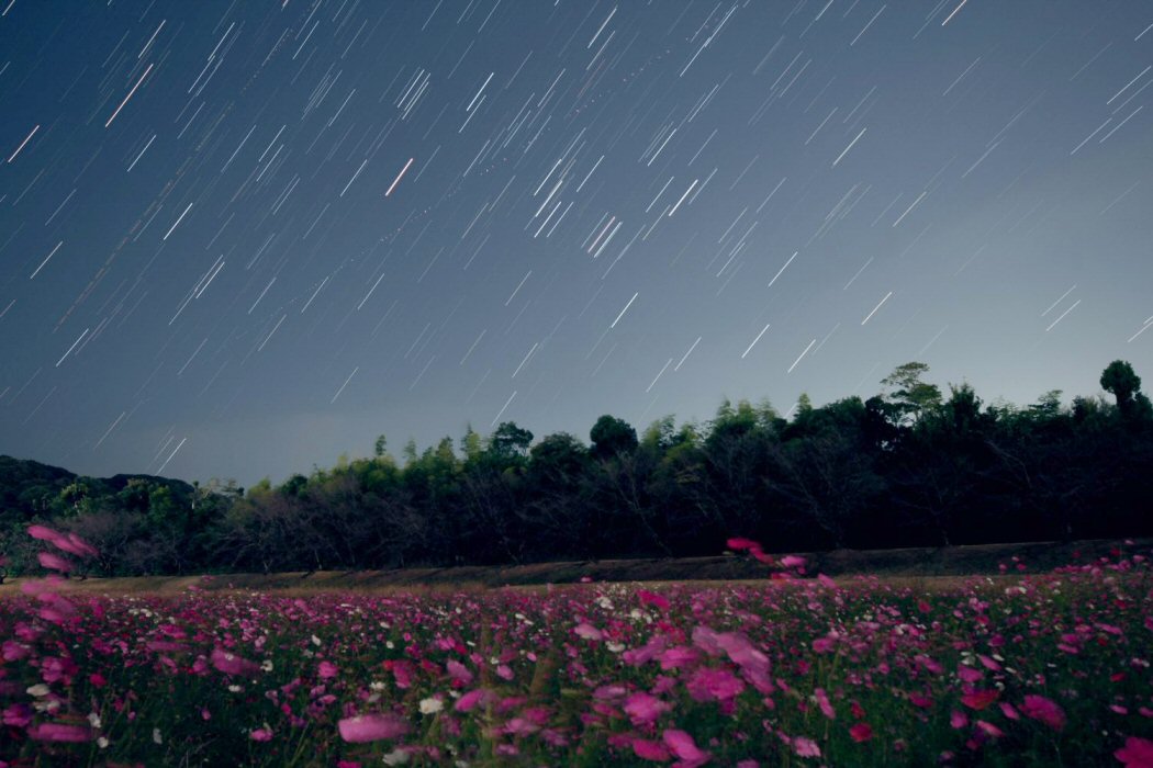 �ᐯ�i�ʐ^��R�X���X�Ɛ����