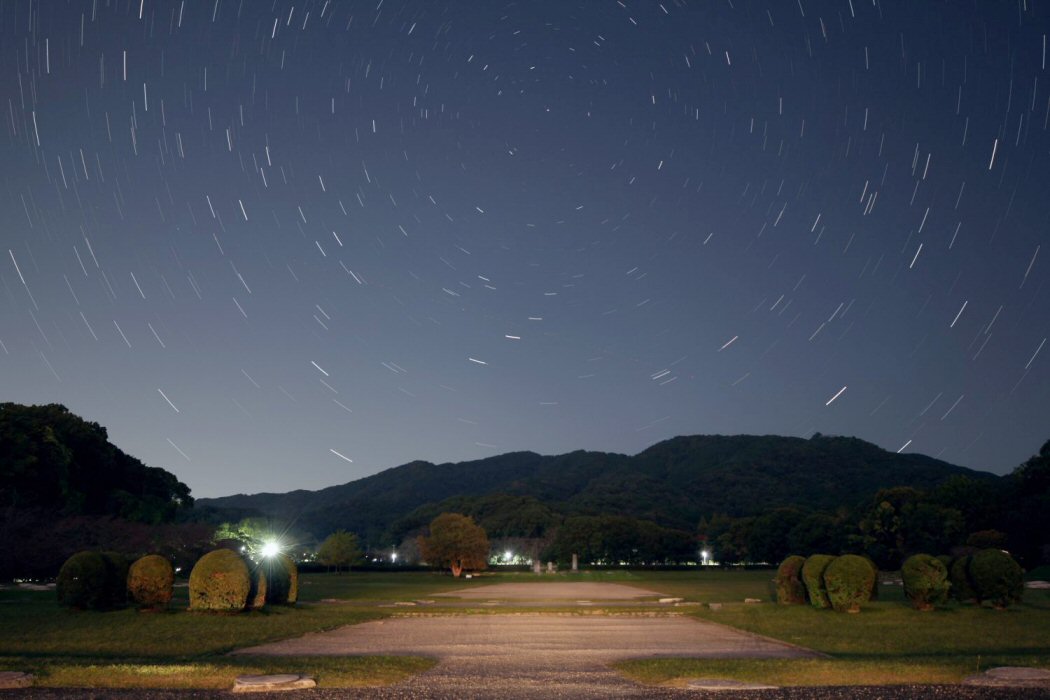 �ᐯ�i�ʐ^�� ��ɕ{������