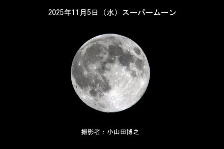 クリックで大きな画像へ