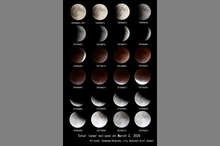 クリックで大きな画像へ